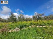 KALIVIA Kreta, Kalivaia Olivenhain 55 Bäume Ein persönlicher Rückzugsort inmitten der Natur Grundstück kaufen